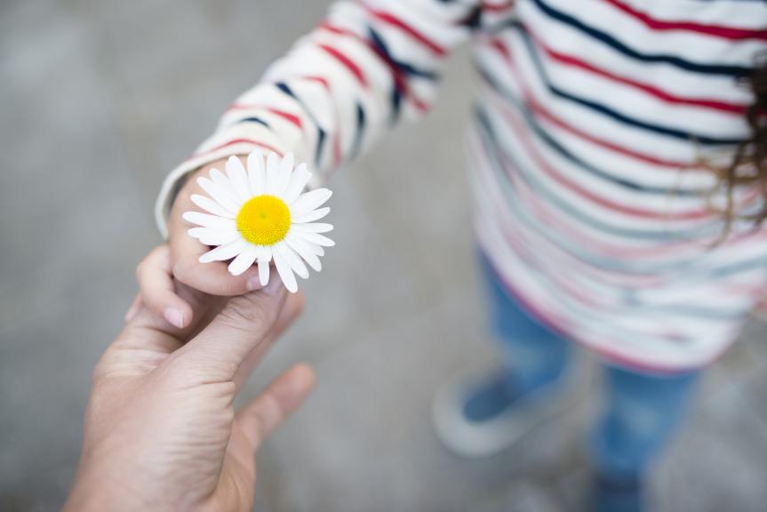 Child giving flower to adult