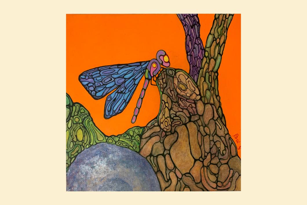 Dragonfly Fantasy, by Stephan Quinlan (12”x12”) | $200